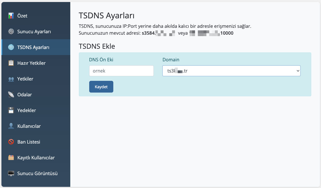 TSPANEL — TSDNS Ayarları ekranı